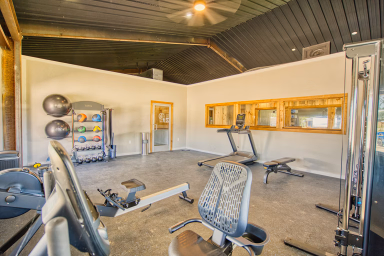 A gym room with exercise machines, a treadmill, a bench, an exercise bike, stability balls, and a rack of medicine balls against the wall.