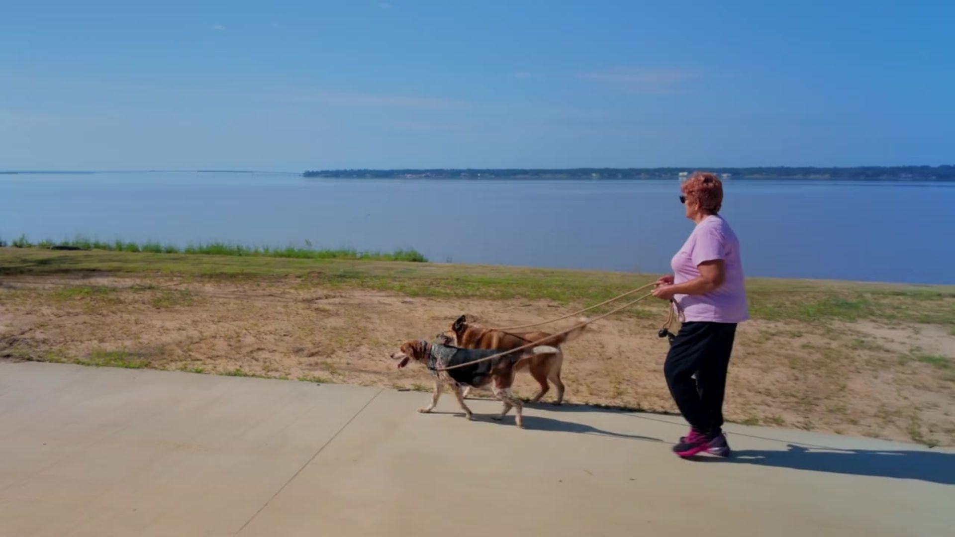 An older woman in a pink shirt walks two dogs on leashes along a paved path by a large body of water under a clear blue sky.